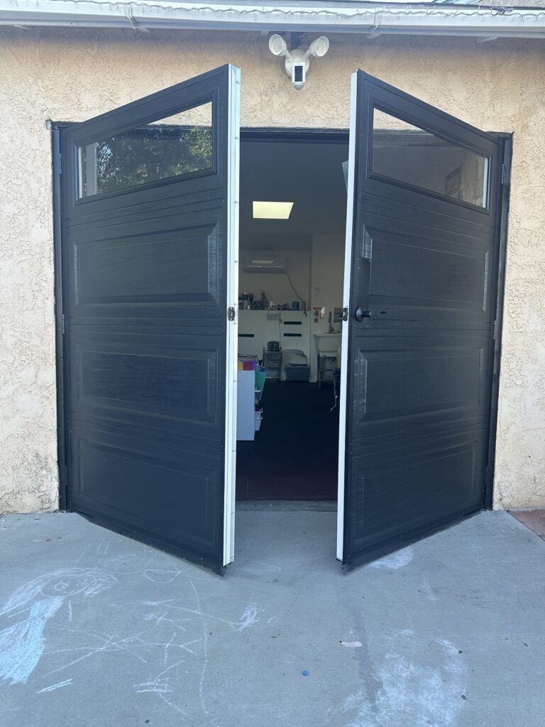 Swing Door Black with Clear Windows